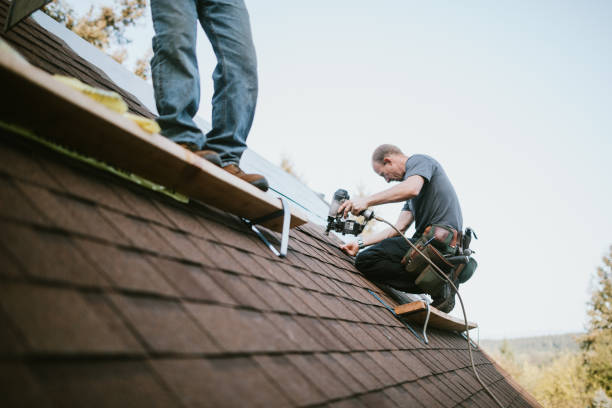 Best Metal Roofing Contractor  in Manchester, KY